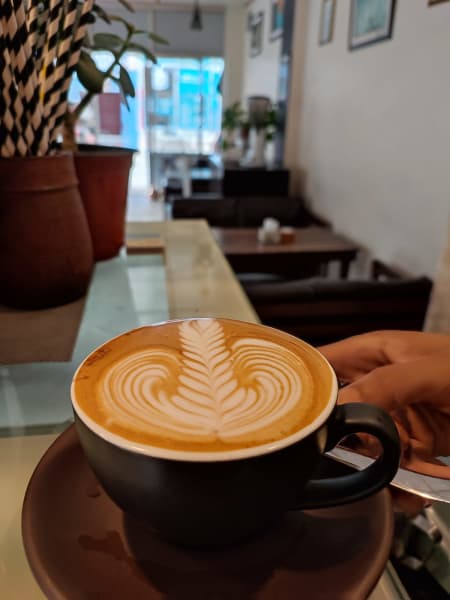 Himalayan Arabica Beans Coffee