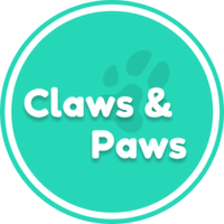Claws & Paws Pet Shop