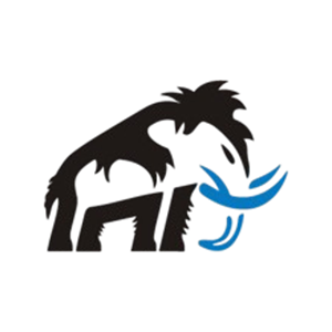 Round-Color-Team-Logo