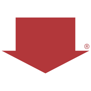 Round-Color-Team-Logo