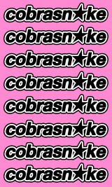 DEAL WITH IT pt1 — The Cobrasnake
