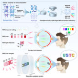 Near-infrared spatiotemporal color vision in humans enabled by upconversion contact lenses