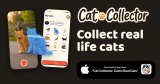 Cat Collector: Catch Cats & Build Your Collection