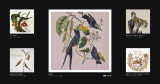 covers