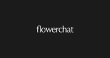 Flowerchat | Private fold chat demo