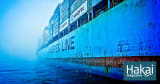 The Secret Language of Ships | Hakai Magazine