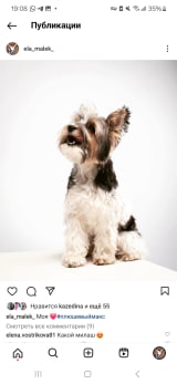 Profile Photo
