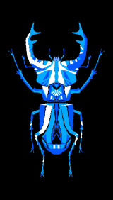 STAG BEETLE_ Besouro Independente _ 1 / 3