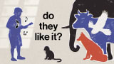What do other animals think of human music?