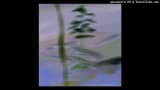 Minor Science - Mortals