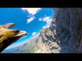 [10 Hours] Through an Eagle's Eyes BETTER - Video & Audio [1080HD] SlowTV