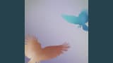 Places