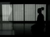 Photek - ni ten ichi ryu