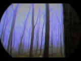 HiM-Other Echos (Touch)