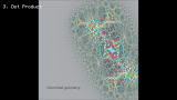 Insectoid Intelligence - Interstitial Geometry [Full Album]