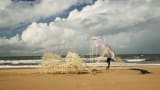strandbeest evolution 2024