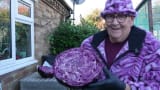 Join me and My 15 POUND RED CABBAGE