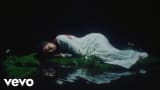 June McDoom - Without You (Official Video)
