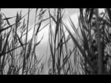 Noize MC — Выдыхай (официальный клип)