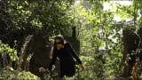 Fine - Everything in the shade