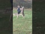 Man vs deer! Fight!!! Not my deer.