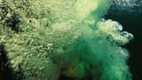 Insta360 X5 Real World Test | River Jump + Underwater Colors