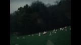 Charli xcx - Always Everywhere (Official Video)