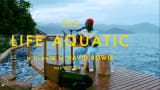 Seu Jorge - The Life Aquatic ( David Bowie Tribute)