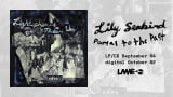 Lily Seabird – Portal to the Past [Official Audio]