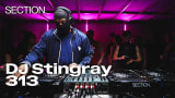 DJ Stingray 313 | Electro & Techno DJ Set | SECTION. | April 2026