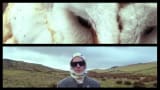 Joyeria - The Curse (Official Video)