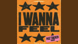 I Wanna Feel (Paige Tomlinson Remix)