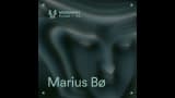 MNMT 518 : Marius Bø