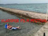 VLADIMIR FILM FESTIVAL 2025