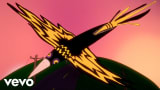 Nap Eyes - Dark Mystery Enigma Bird (Official Video)