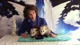 Marsupial Meditation