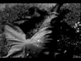 World's End Girlfriend - We Are The Massacre