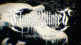 Fimbul Winter - Crowned in Ash (Official Visualizer)