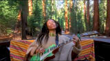 Redwood Resonance ᨒ (1hr) - Healing Guitar Frequencies - Heart Opening and Connecting to the Trees