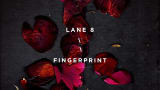 Lane 8 - Fingerprint