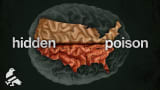 How half the US lost part of their minds