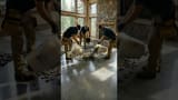 Incredible epoxy resin floor #diytransformation #epoxy