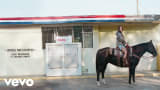 Kacey Musgraves, Miranda Lambert - Horses and Divorces (Official Lyric Video)