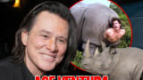 Jim Carrey Butt Birth Mechanical Rhino From 'Ace Ventura' Up For Auction