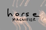 Horse Magnifier by wer8888