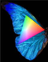 Where to Find the Colors Your Screen Can’t Show You – Ryan Moulton's Articles
