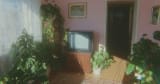 genius_loci_home