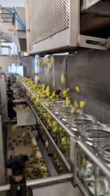 Packing jars of olives at L'Oulibo olive coil cooperative.