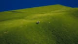 bliss_dot_desktop