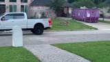 Someone's illegal pet tiger got loose in a Houston neighborhood...